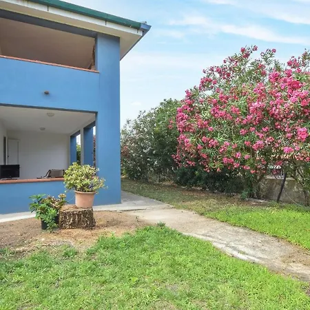 3 Bedroom Stunning In Daire